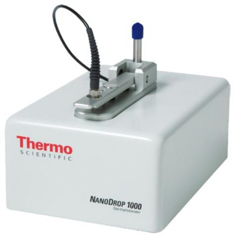 NanoDrop 1000 spectrophotometer (ThermoFisher Scientific) | Cornell